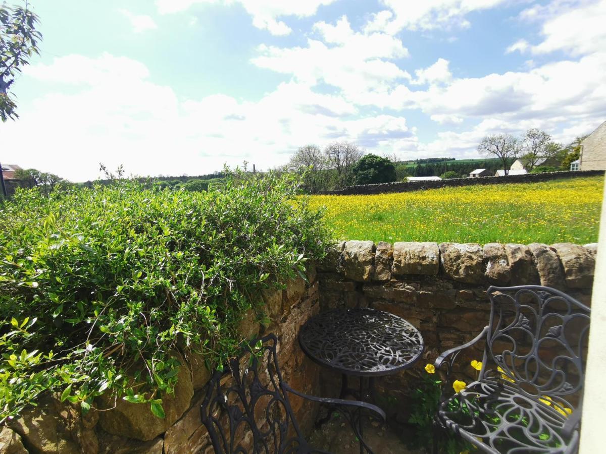 Copley Cottage ภายนอก รูปภาพ